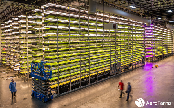 photograph showing the innovative vertical farming process at AeroFarms
