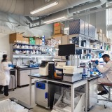 Recognized as a life sciences cluster and an established hub for cell and gene therapy, Philadelphia is experiencing exponential momentum in life sciences real estate and development. The region ranks third in the...